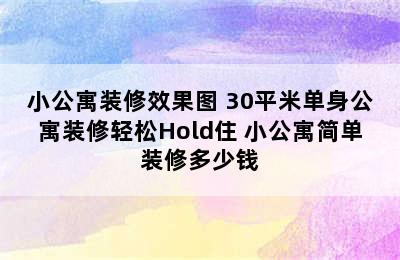 小公寓装修效果图 30平米单身公寓装修轻松Hold住 小公寓简单装修多少钱